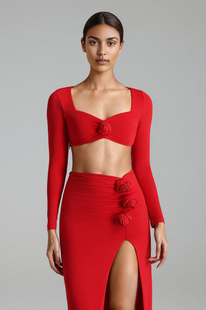 Conjunto mangas comprida flores 3D - Cerlei